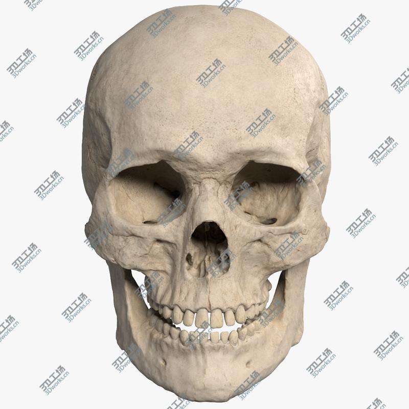 images/goods_img/2021040232/3D model Skull/1.jpg